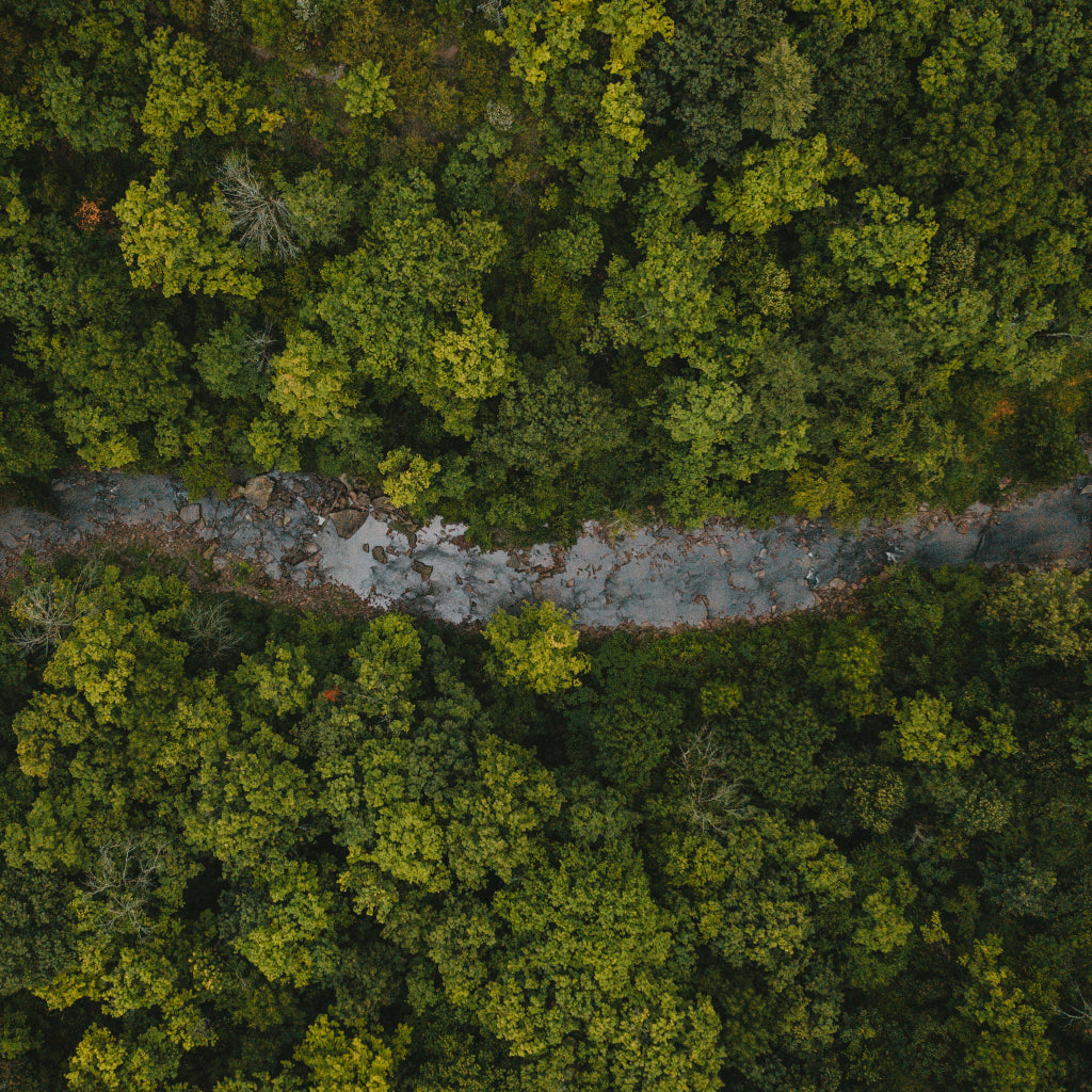 Forêt et rivière vue du ciel
