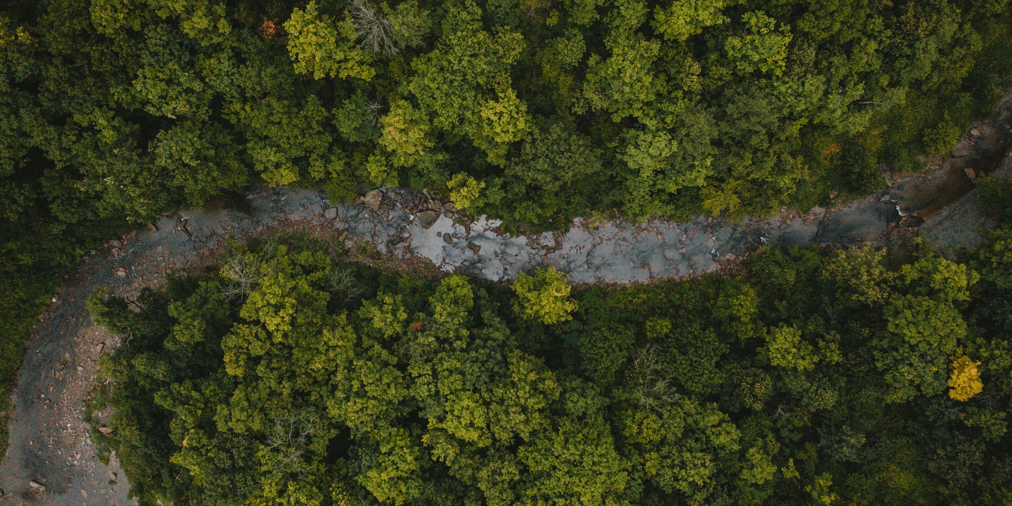 Forêt et rivière vue du ciel